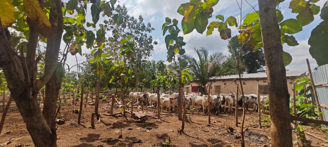 Infrastructures de la ferme LELLAL AGROPASTORAL